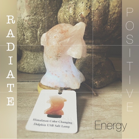 Himalayan Salt Dolphin Lamp - Picture 3 of 10